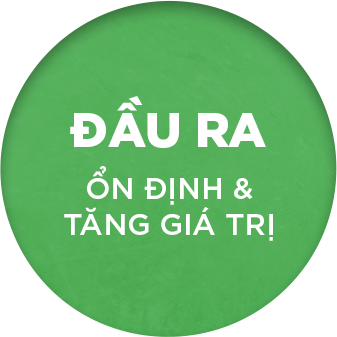 Đầu ra